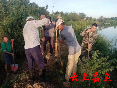 【抗旱减灾·我们在一线】“90后”村书记马涛: 让党旗飘扬在抗旱第一线