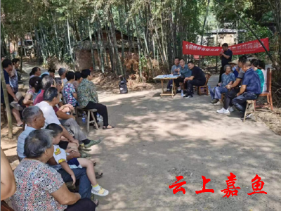 三湖社区：竹林听民意 聚力解民忧