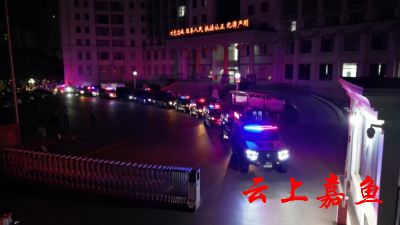 让平安看得见！嘉鱼警方开展第三次夏夜治安巡查宣防集中统一行动