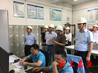 省经信厅领导来我县调研武汉新港潘湾工业园区企业生产情况