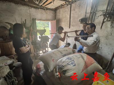 【下基层察民情解民忧暖民心】高铁岭镇九龙村：干部帮售玉米村民暖在心里
