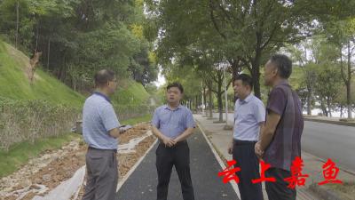 【抗旱减灾·我们在一线】县领导检查指导林业抗旱工作