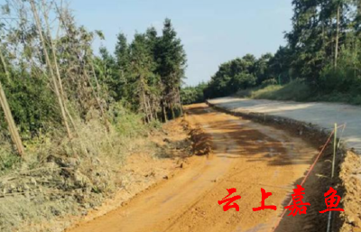 【下基层察民情解民忧暖民心】高铁岭镇白果树村：道路扩宽硬化让群众走上“幸福路”