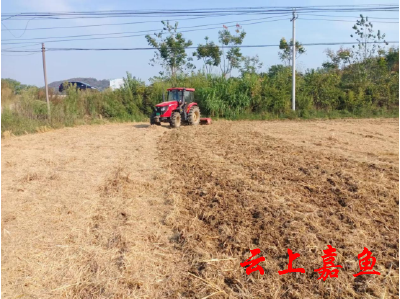 高铁岭镇抢抓秋冬好时节4.64万亩面积播种忙