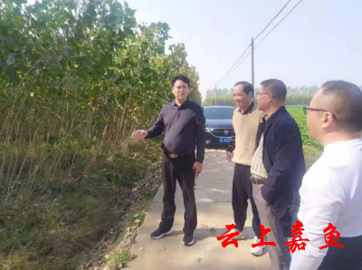 胡金云调研林长制工作时强调：全域绿化工作要按照适地适树的原则 尽量选种本地乡土树种