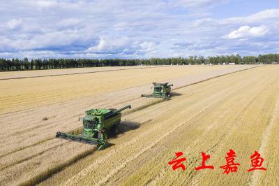 向着全面推进中华民族伟大复兴奋勇前进——写在中国共产党第二十次全国代表大会召开之际   