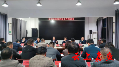 鱼岳镇召开疫情防控工作推进会