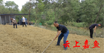 高铁岭镇九龙村：秋冬播种正当时