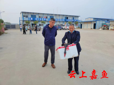 黑天鹅受伤被困工地 警民联手救助住新家