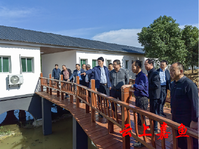 市领导来嘉调研餐厨垃圾处理设施推进及林长制工作