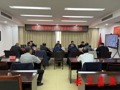 王永胡金云在渡普镇全域国土综合整治项目会商会上强调：为努力实现渡普镇产业高质量发展提供土地要素支撑