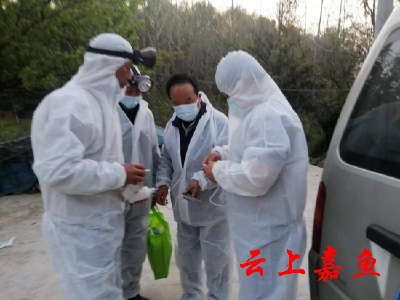 高铁岭镇开展秋防工作筑牢动物免疫防线