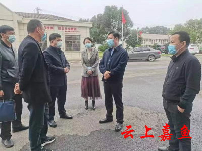 【宣讲进行时】王永赴高铁岭镇宣讲党的二十大精神 奋力推动党的二十大精神在嘉鱼落地生根、开花结果