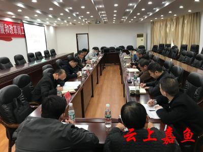市发改委、市统计局来我县开展重点用能企业和塑料污染治理调研