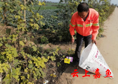 【文明嘉鱼】潘家湾镇潘家湾村：共同改善人居环境缔造美好幸福家园