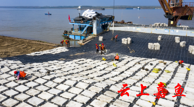 长江嘉鱼段河道整治出新招 首次采用水下预制砼铰链排施工