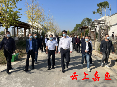 胡金云率队赴仙桃市考察学习全域国土综合整治工作时强调：充分借鉴先进经验 进一步提升嘉鱼全域国土综合整治工作成效