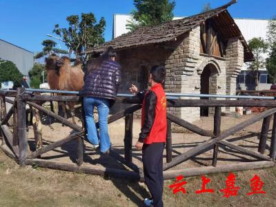 文明旅游重在引导