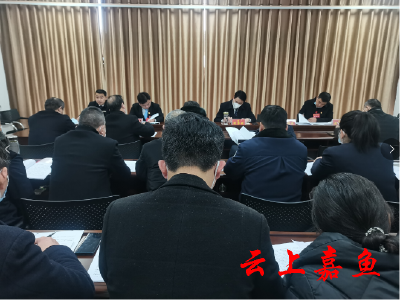 县领导分别参加党代会分团讨论