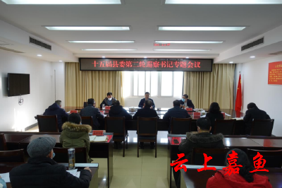 我县召开十五届县委第二轮巡察书记专题会