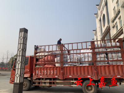 渡普镇：发放冬春救助物资 助力困难群众温暖过冬