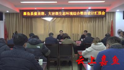 嘉鱼县召开蜜泉湖、大岩湖生态环境综合整治设计汇报会