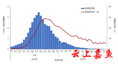中疾控发布全国新冠感染情况：最高峰每日感染人数近700万