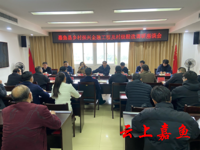 我县召开乡村振兴金融工程及村级股改调研座谈会