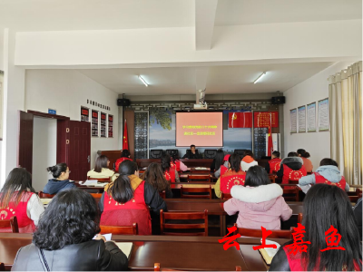 鱼岳镇开展学习贯彻党的二十大精神进社区活动