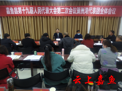 【聚焦两会】县领导分别参加人大会分团审议