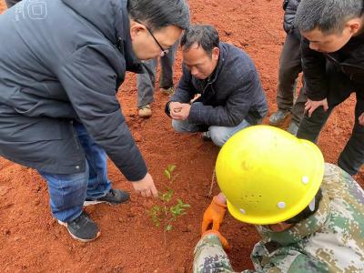 县林业局举办2023年嘉鱼县油茶扩面提质增效行动栽植技术培训班