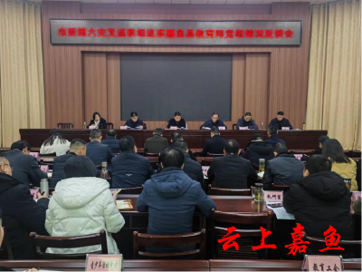 市委第六交叉巡察组巡察嘉鱼县教育局党组情况反馈会召开