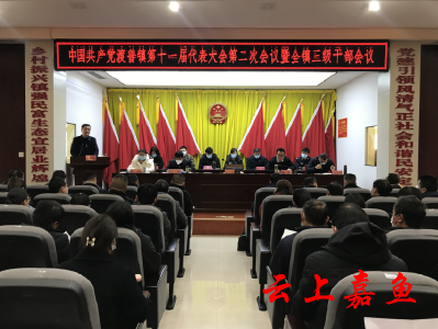 中国共产党渡普镇第十一届代表大会第二次会议暨全镇三级干部会议召开