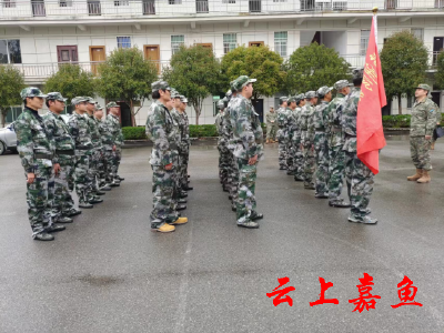 县人武部对全县组建民兵队伍单位进行逐一点验