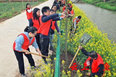 潘家湾镇：植树护绿在行动