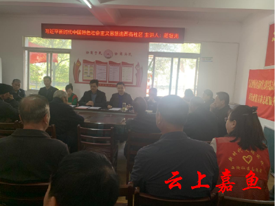 鱼岳镇西街社区：习近平新时代中国特色社会主义思想宣讲进社区