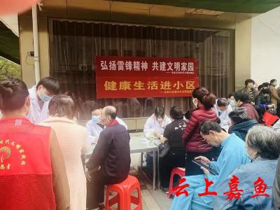 【文明嘉鱼】北街社区开展“弘扬雷锋精神共建文明家园”健康生活进小区义诊活动