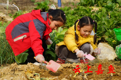 【文明嘉鱼】茶庵幼儿园开展“迎春分 享童趣”主题系列活动