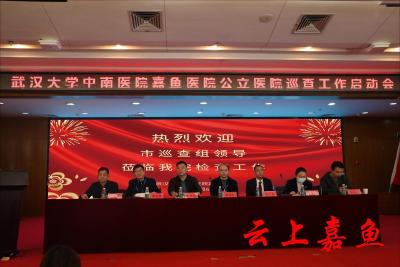 武汉大学中南医院嘉鱼医院公立医院巡查工作启动