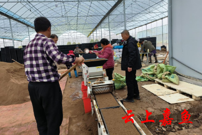 嘉鱼：集中育秧效率高 助力春耕生产力
