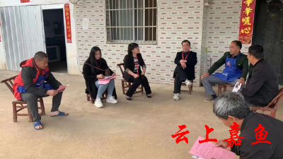 官桥镇：人大代表为人民 走访入户听民意