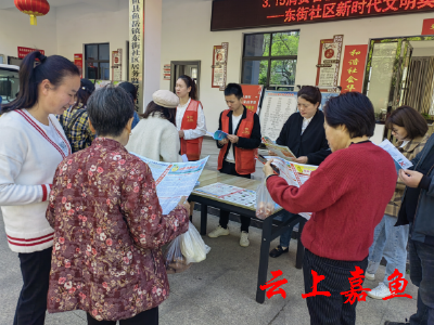 【文明嘉鱼】东街社区开展“3.15”消费者权益日普法宣传活动