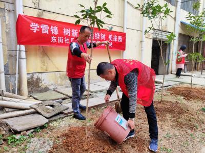 【文明嘉鱼】爱心人士捐赠桂花苗木30余棵 为家乡添新绿