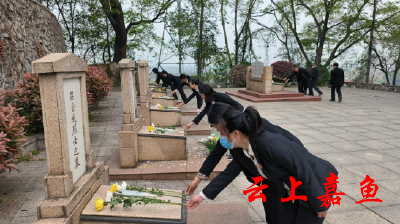 鱼岳镇南街社区开展清明祭扫活动