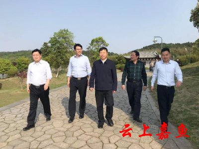 省政协书画院组织书画名家来 嘉鱼县采风调研