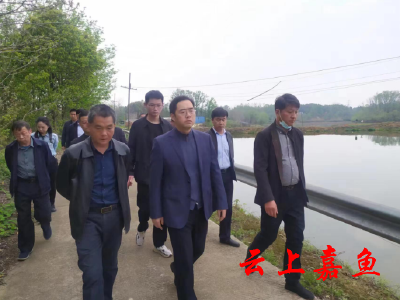 县领导开展一季度县级湖长巡查暨退垸还湖调研工作