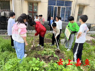 陆溪中学：劳动励心智实践促成长