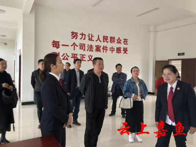 县人大常委会调研嘉鱼法院队伍建设和未成年人审判工作