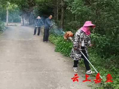 高铁岭镇新庄村：清除路边杂草 缔造美好环境