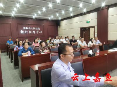 嘉鱼法院召开人民法院调解平台“三进”业务培训会